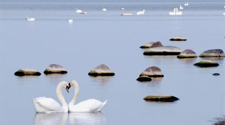 Jūrmala pavasara gūstā